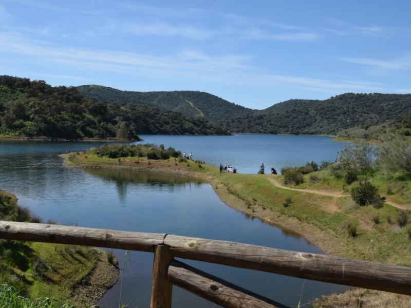 Tejadilla Casita Rural Cerca De Sevilla Con Piscina المظهر الخارجي الصورة